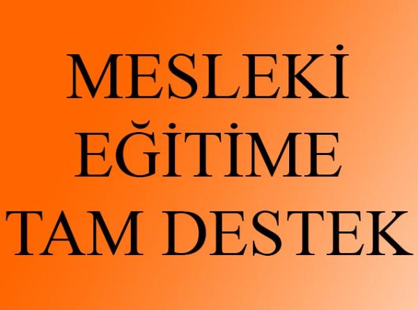 Orhangazi Mesleki ve Teknik Anadolu Lisesi BURSA ORHANGAZİ