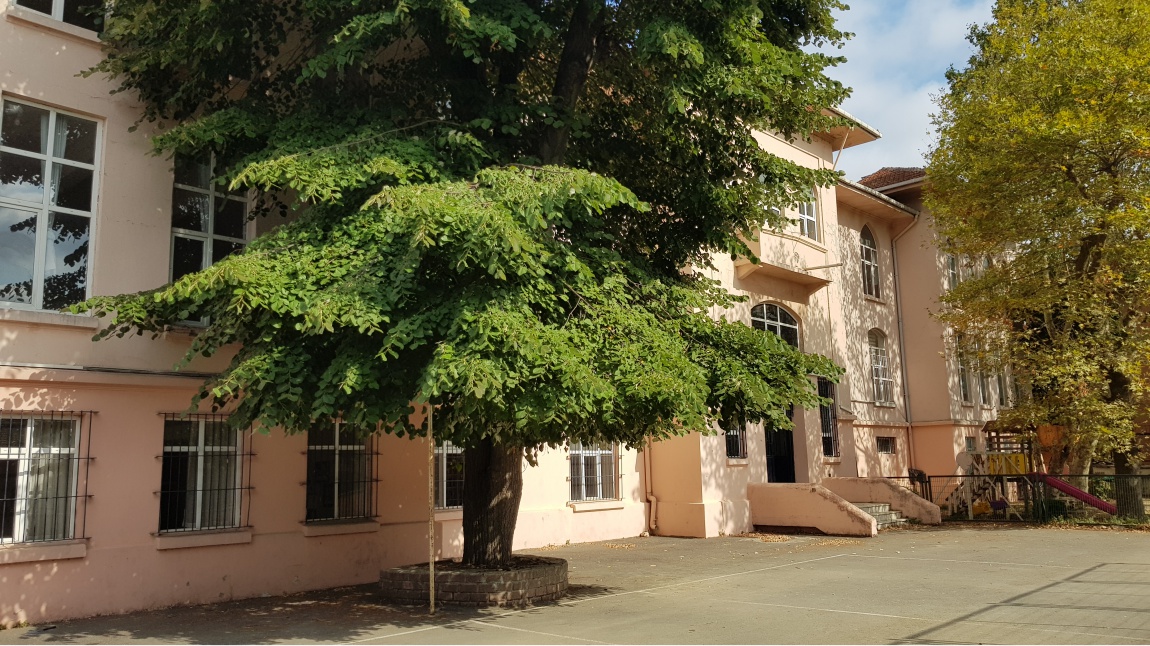 Burhan Felek Anadolu Lisesi İSTANBUL ÜSKÜDAR