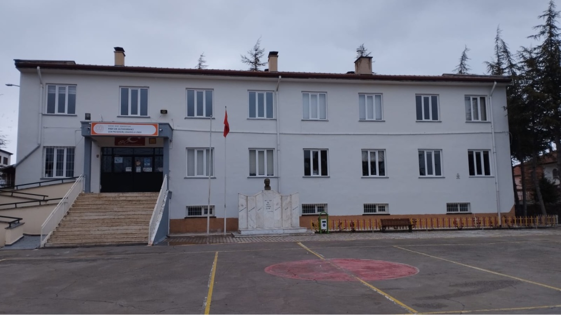 Prof. Dr. Ali Yaramancı Çok Programlı Anadolu Lisesi NİĞDE BOR