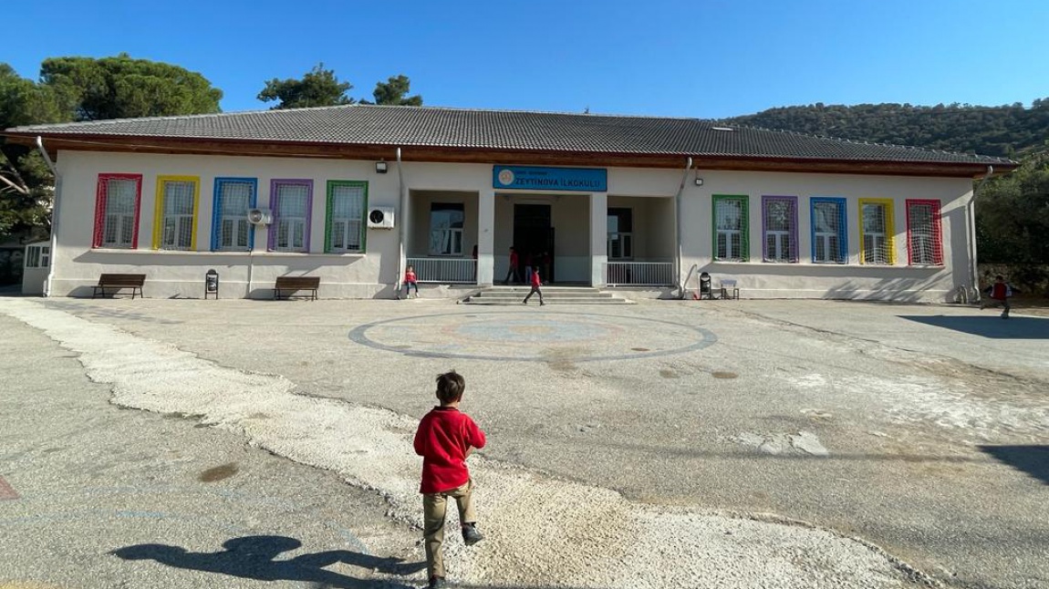 Zeytinova İlkokulu İZMİR BAYINDIR