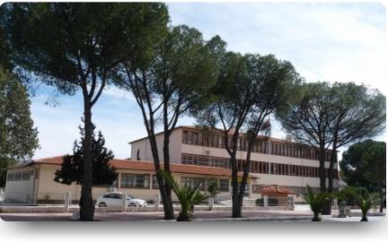 Milas Anadolu lisesi MUĞLA MİLAS