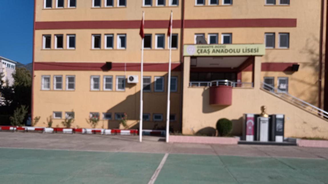 Düziçi ÇEAŞ Anadolu Lisesi OSMANİYE DÜZİÇİ