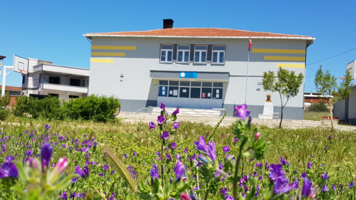 Taşpınar Ortaokulu BURSA MUSTAFAKEMALPAŞA