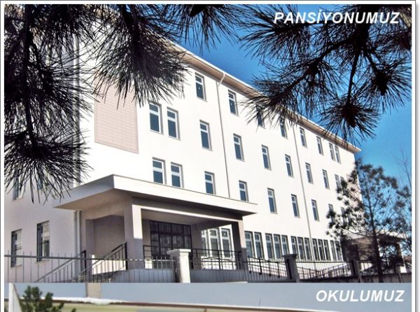 Mustafa Hüsnü Gemici Anadolu Lisesi AFYONKARAHİSAR BOLVADİN