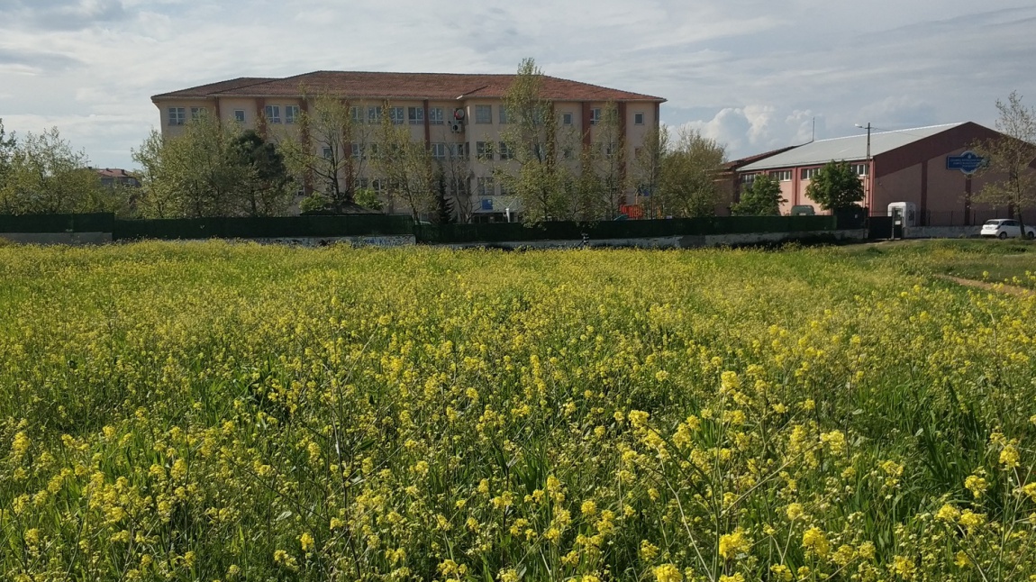 Ulubatlı Hasan İlkokulu İSTANBUL TUZLA