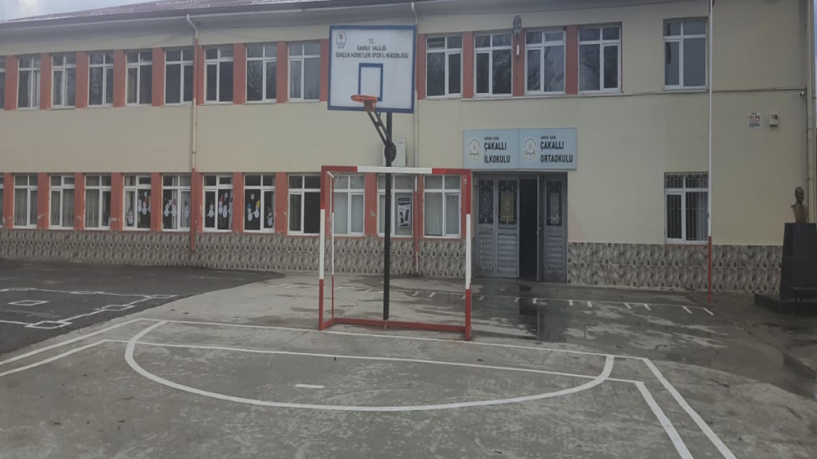 Çakallı Ortaokulu SAMSUN KAVAK