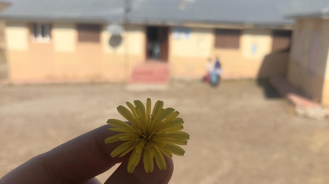 Alakoyun İlkokulu AĞRI HAMUR