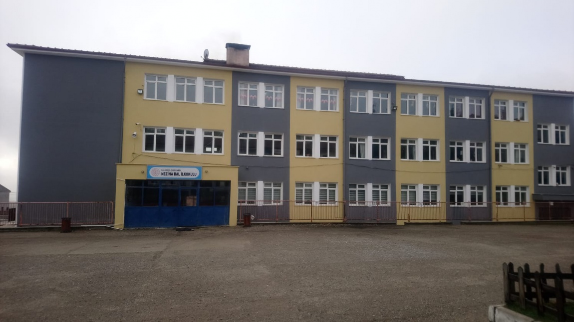 Neziha Bal İlkokulu BALIKESİR DURSUNBEY