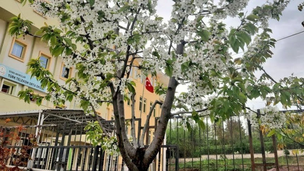 Türk Telekom Ortaokulu SİVAS AKINCILAR