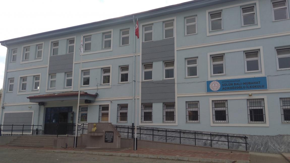 Sülün Balı-Mubahat Açıkgözoğlu İlkokulu AFYONKARAHİSAR MERKEZ