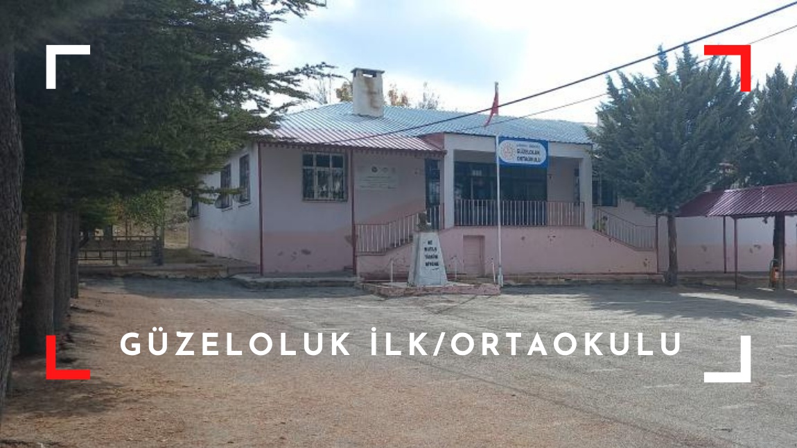 Güzeloluk Ortaokulu MERSİN ERDEMLİ