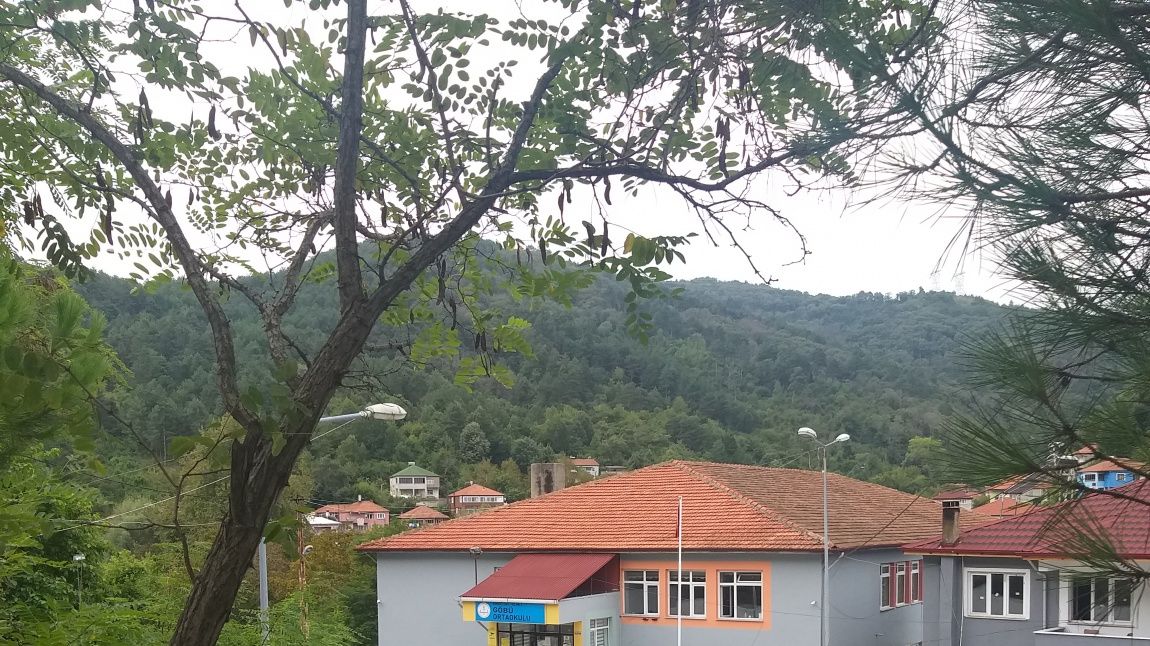 Göbü Ortaokulu ZONGULDAK KİLİMLİ