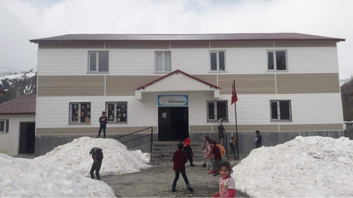 Göztepe Köyü İlkokulu BİTLİS MUTKİ