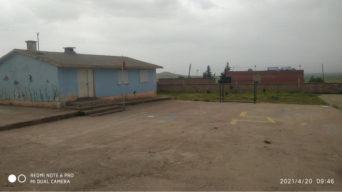 Otluk İlkokulu MARDİN DERİK