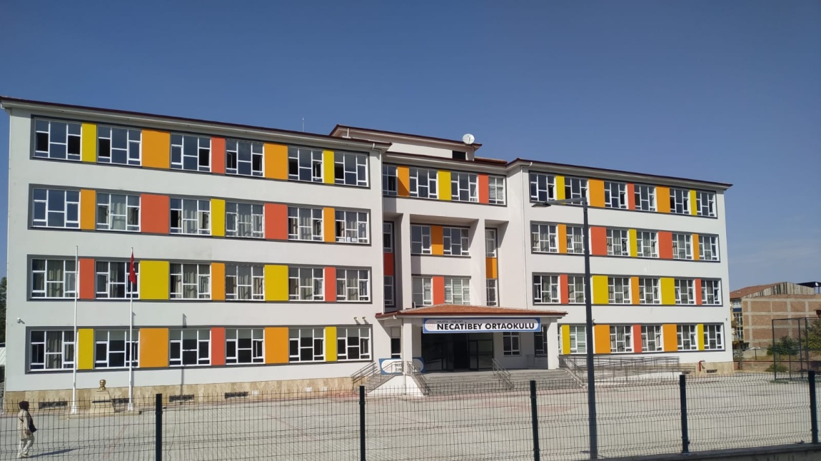 Necatibey Ortaokulu MALATYA YEŞİLYURT