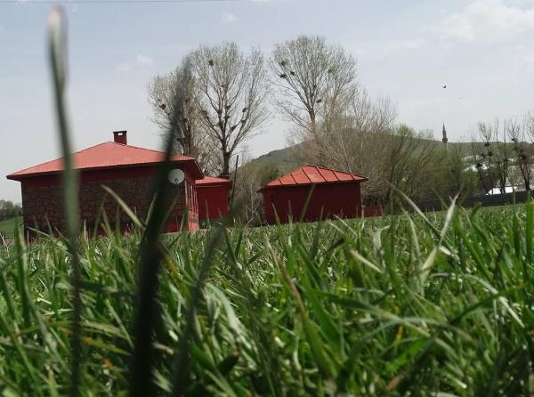 Doğutepe İlkokulu AĞRI MERKEZ