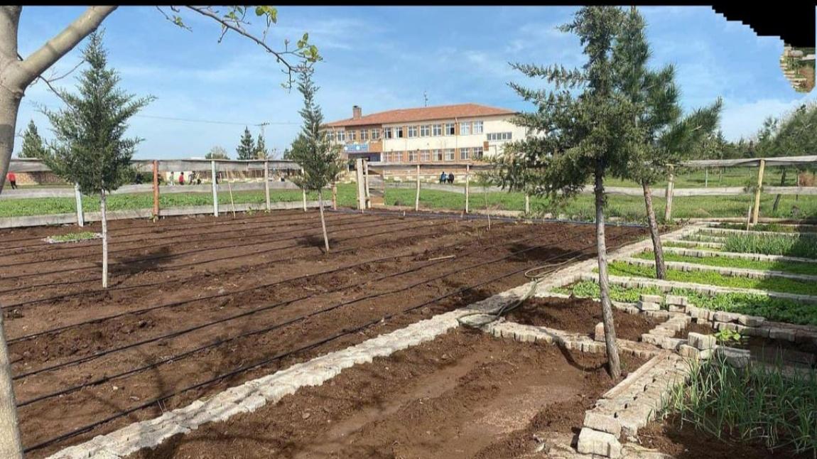 Gezdik Ortaokulu ŞANLIURFA VİRANŞEHİR