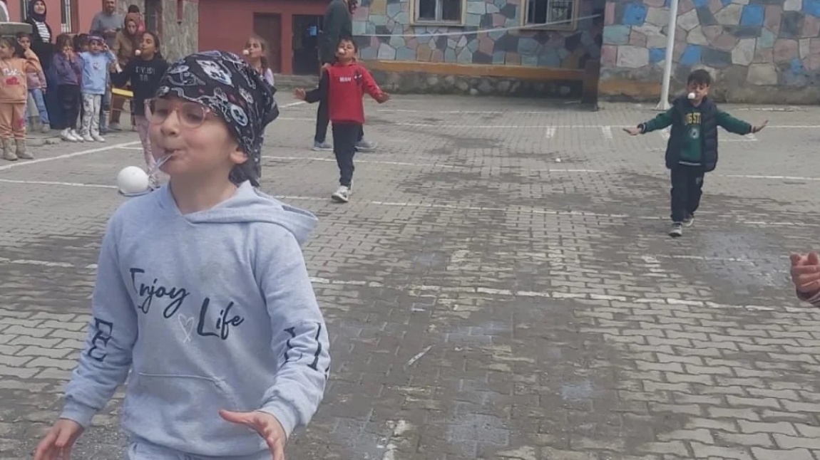 Gökçedere İlkokulu ERZURUM OLTU