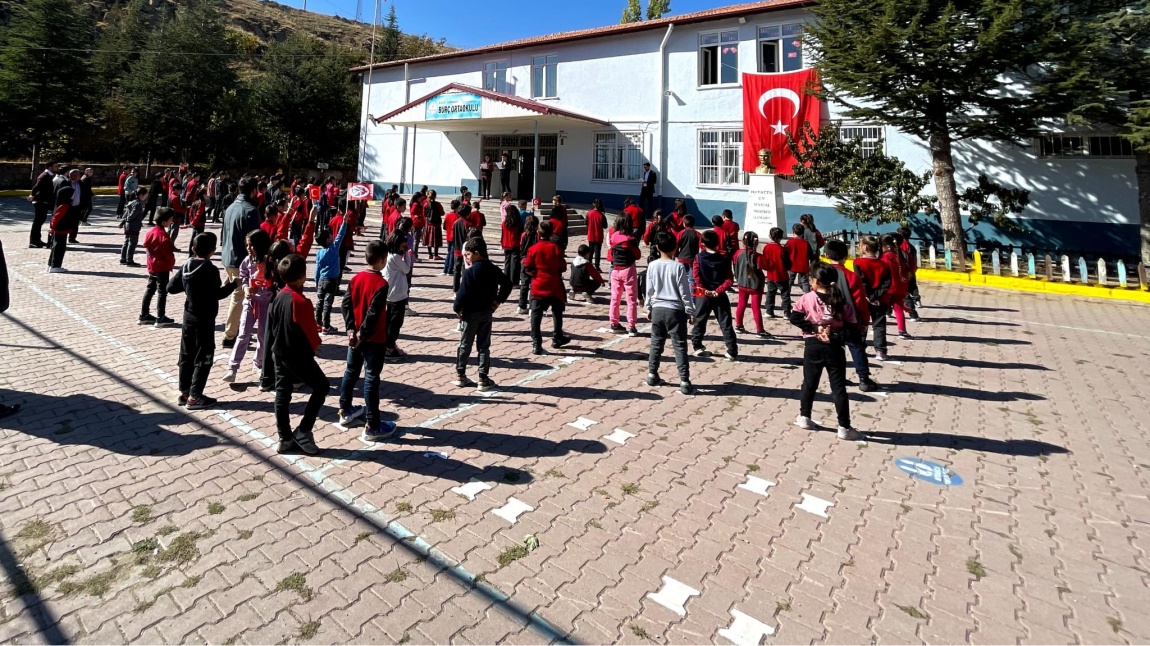 Burç Köyü Şehit Berat Sağırkaya İlkokulu NİĞDE ÇAMARDI