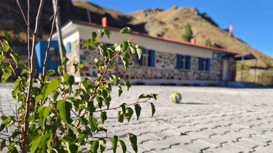 Çamlıca İlkokulu ERZURUM PASİNLER