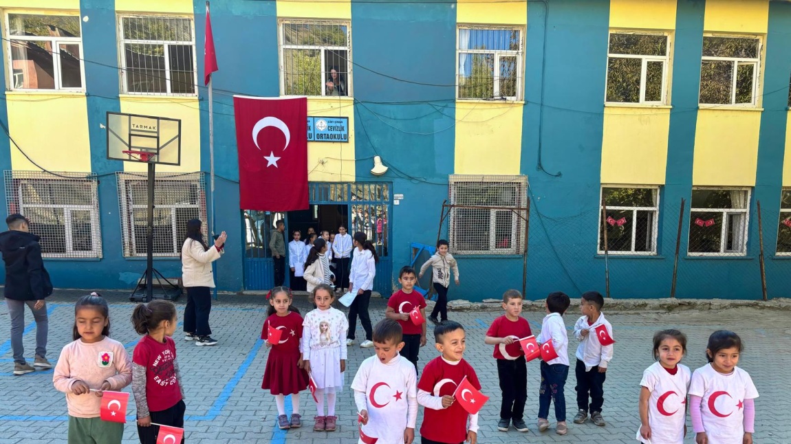 Cevizlik Ortaokulu SİİRT ŞİRVAN