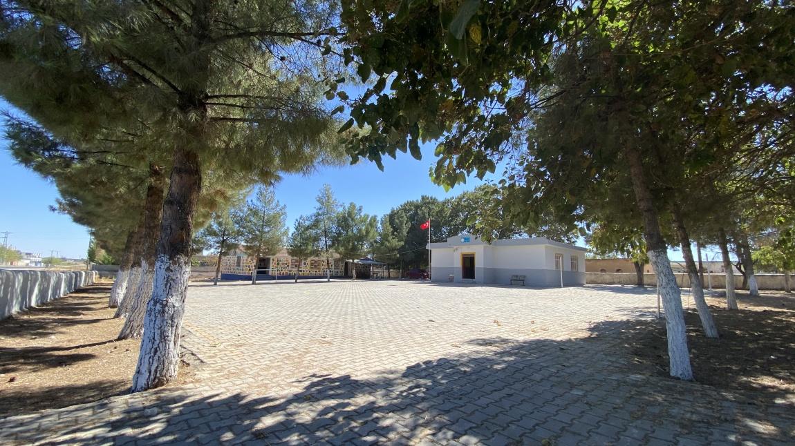 Düzce İlkokulu ŞANLIURFA AKÇAKALE