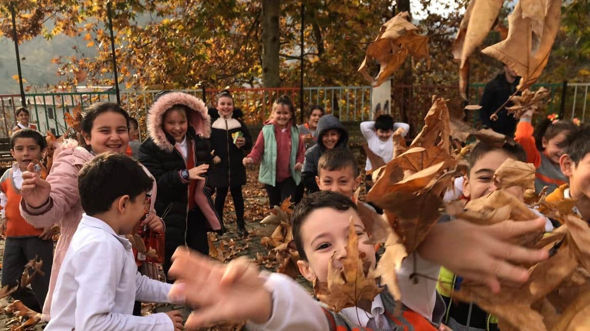 Yunus Emre İlkokulu ARTVİN MURGUL