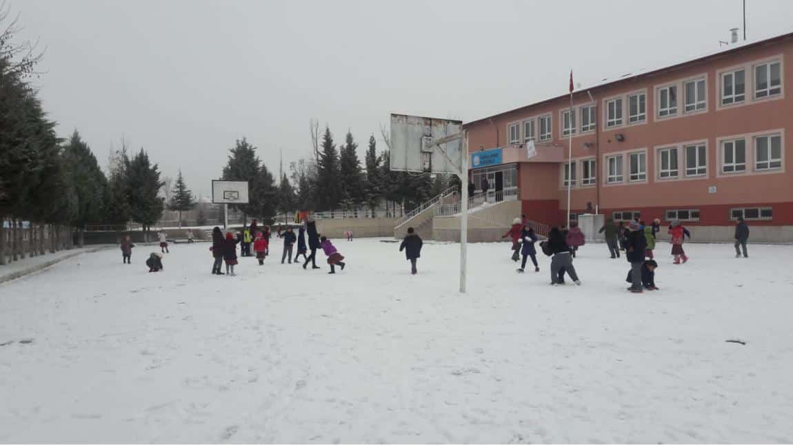 Yunus Emre İlkokulu AMASYA SULUOVA