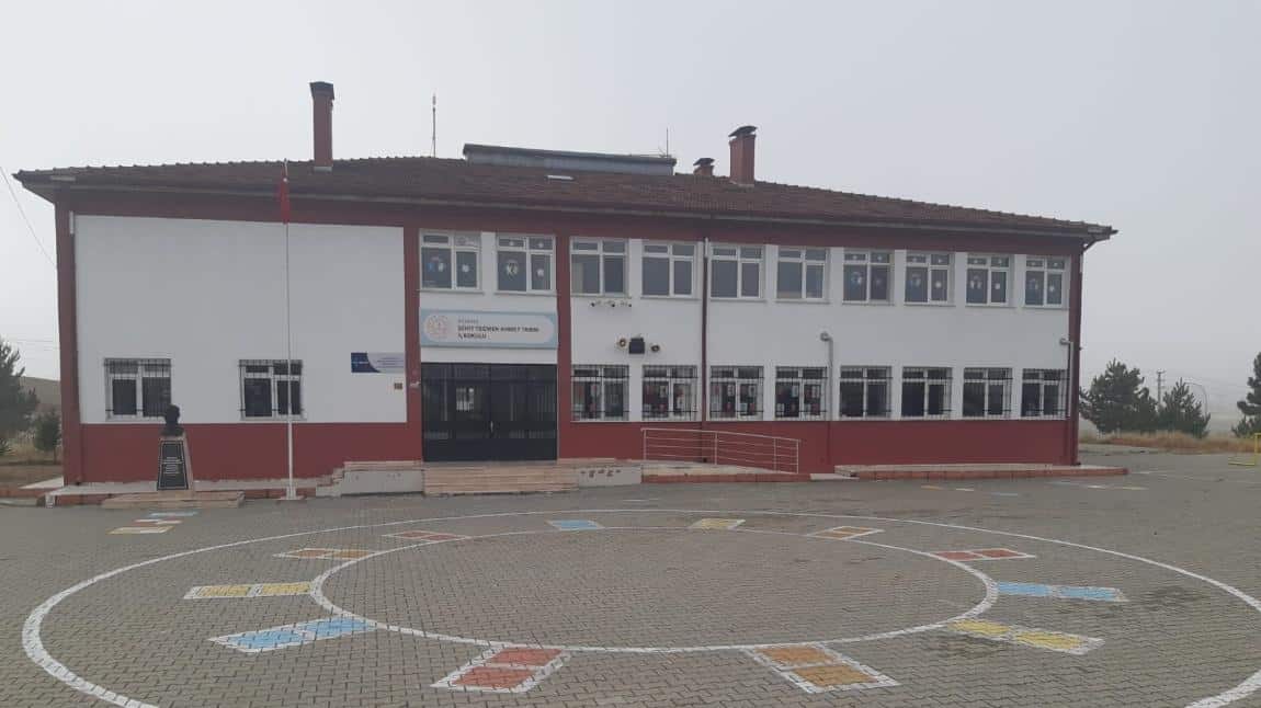 Şehit Teğmen Ahmet Tarım İlkokulu KÜTAHYA MERKEZ