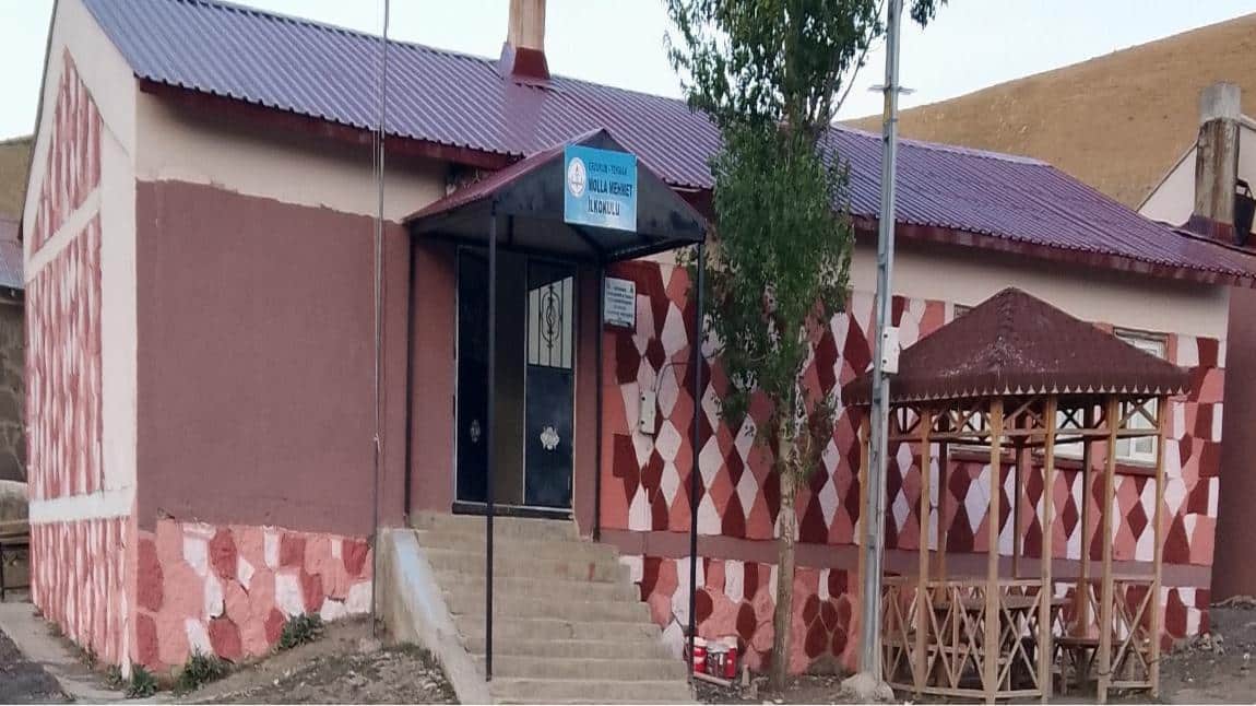 Molla Mehmet İlkokulu ERZURUM TEKMAN