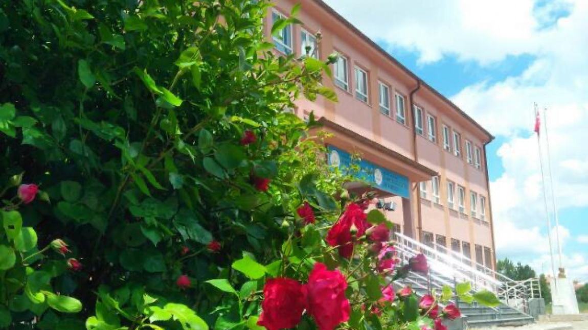 Himmetdede Atatürk Ortaokulu KAYSERİ KOCASİNAN