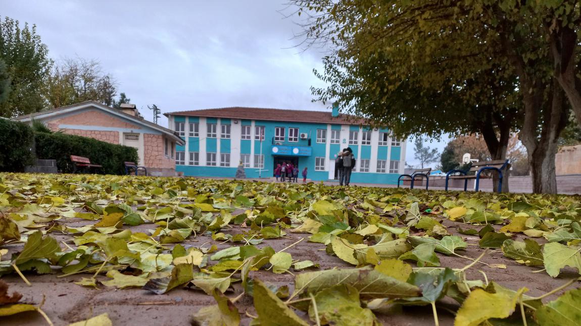 Dumlukuyu Ortaokulu ŞANLIURFA SURUÇ