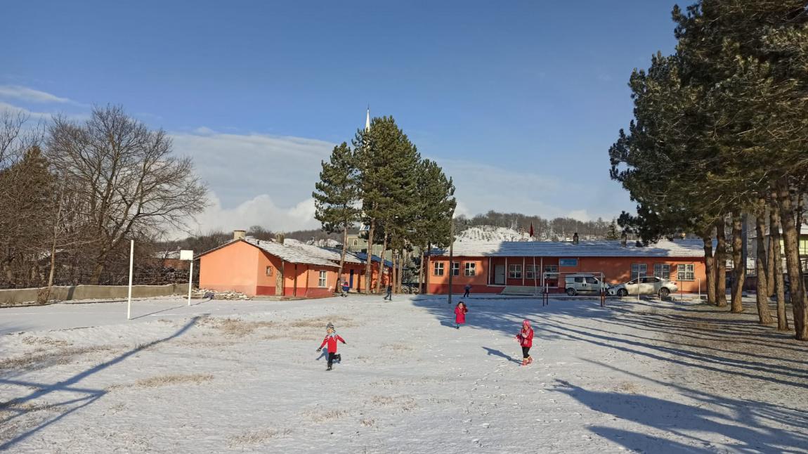 Arslançayırı İlkokulu SAMSUN HAVZA