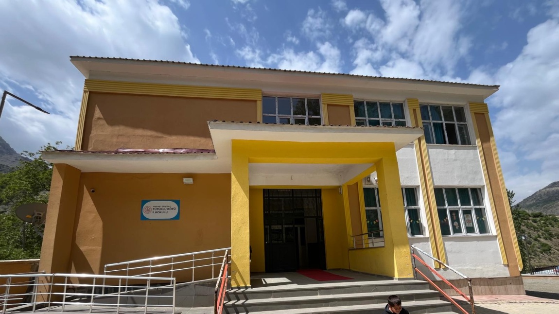 Tütünlü Köyü İlkokulu HAKKARİ ŞEMDİNLİ
