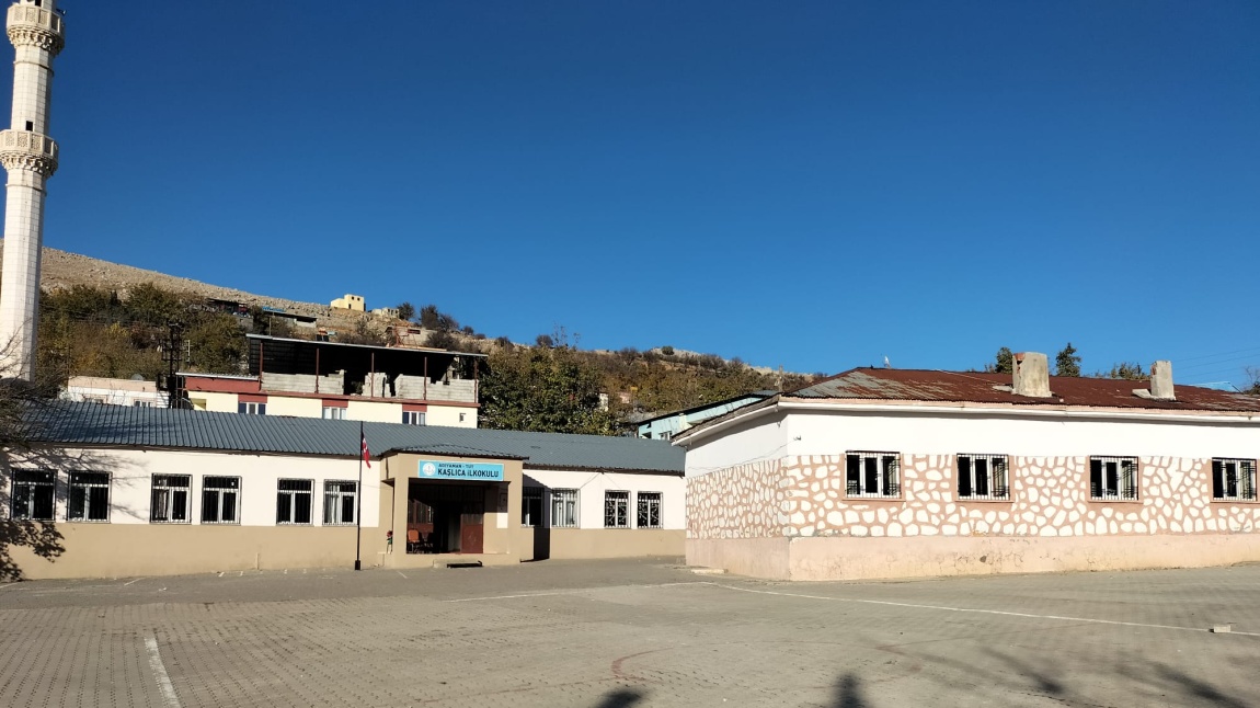 Kaşlıca İlkokulu ADIYAMAN TUT
