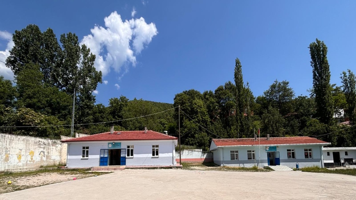 Sarıdibek Köyderesi İlkokulu SAMSUN VEZİRKÖPRÜ