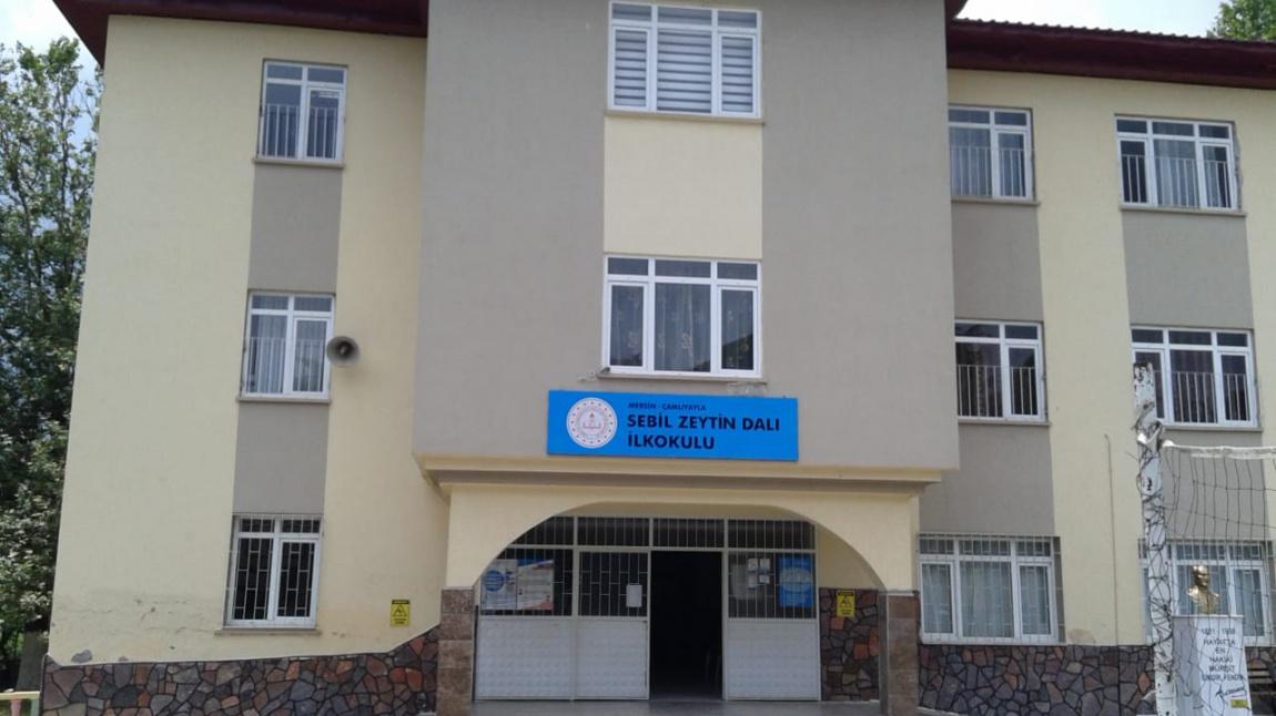 Sebil Zeytin Dalı İlkokulu MERSİN ÇAMLIYAYLA