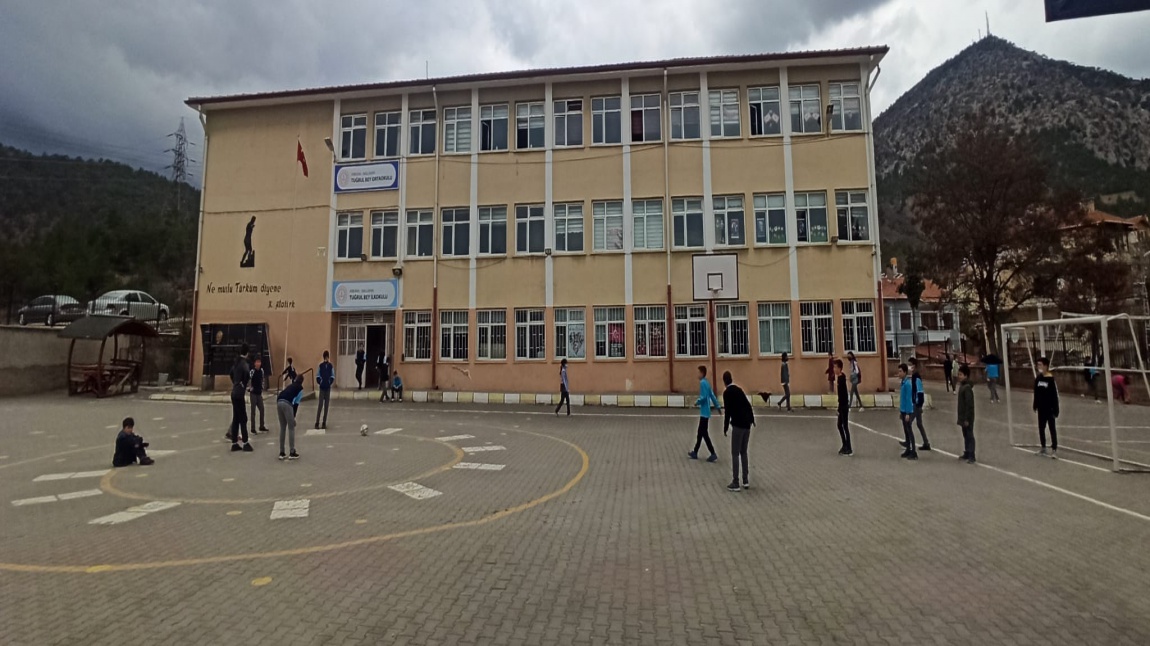 Tuğrulbey İlkokulu ANKARA NALLIHAN