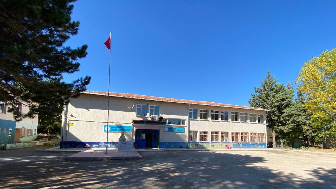 Alıcık Şehit İlker Atan İlkokulu AMASYA MERZİFON