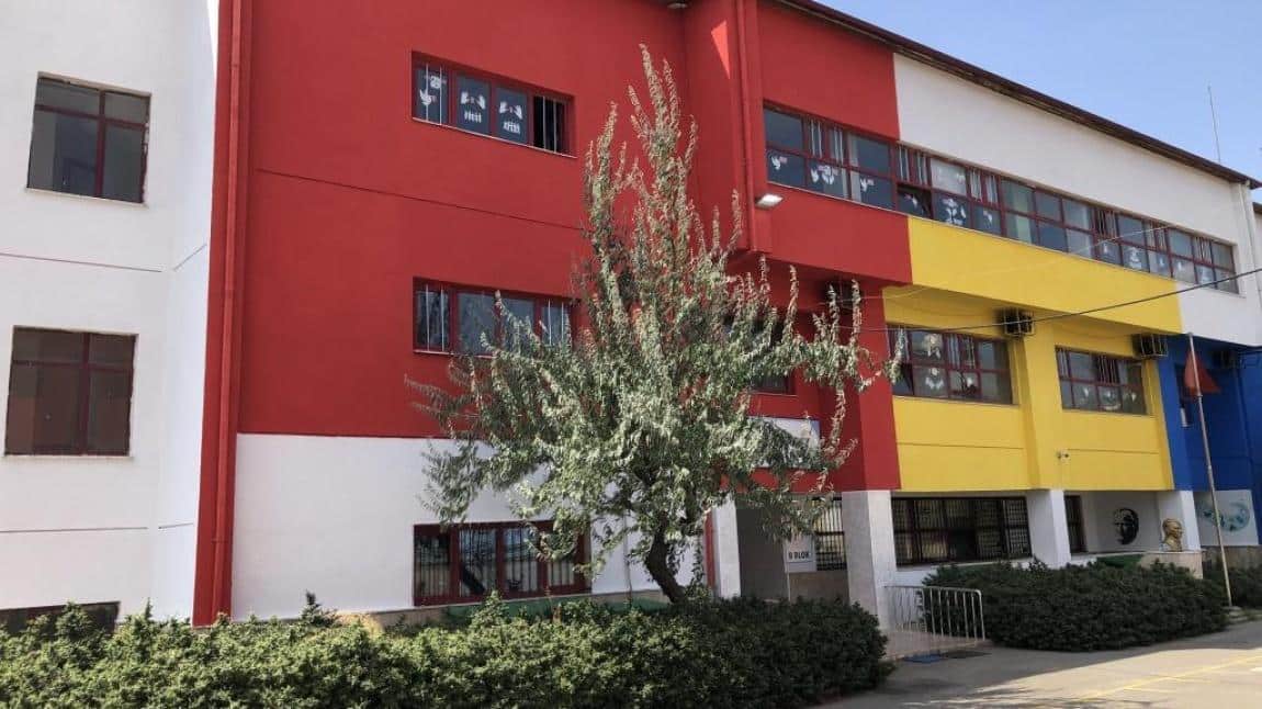 Ali Fuat Cebesoy İlkokulu İSTANBUL ATAŞEHİR