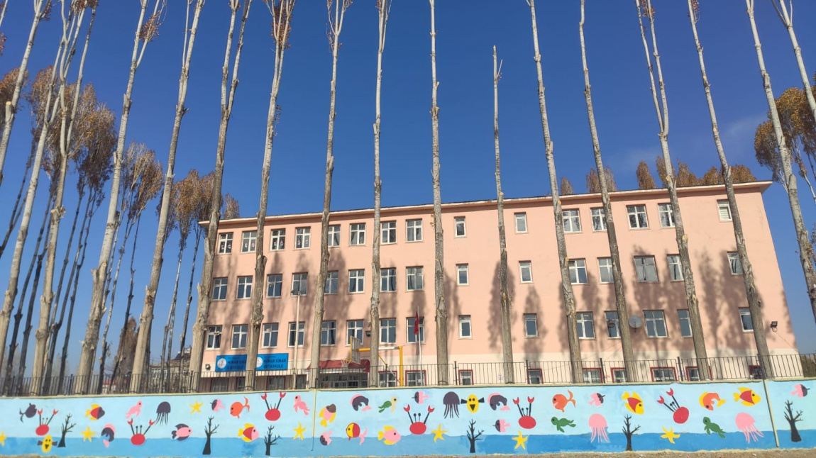 Mimar Sinan Ortaokulu VAN İPEKYOLU