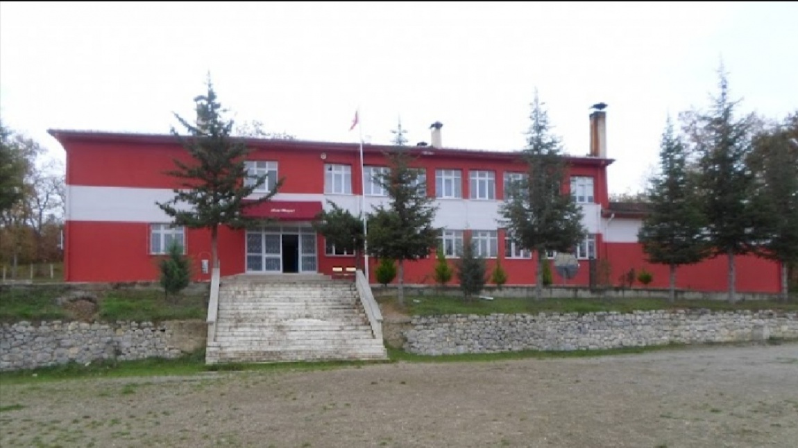 Emirli Ortaokulu SAMSUN KAVAK