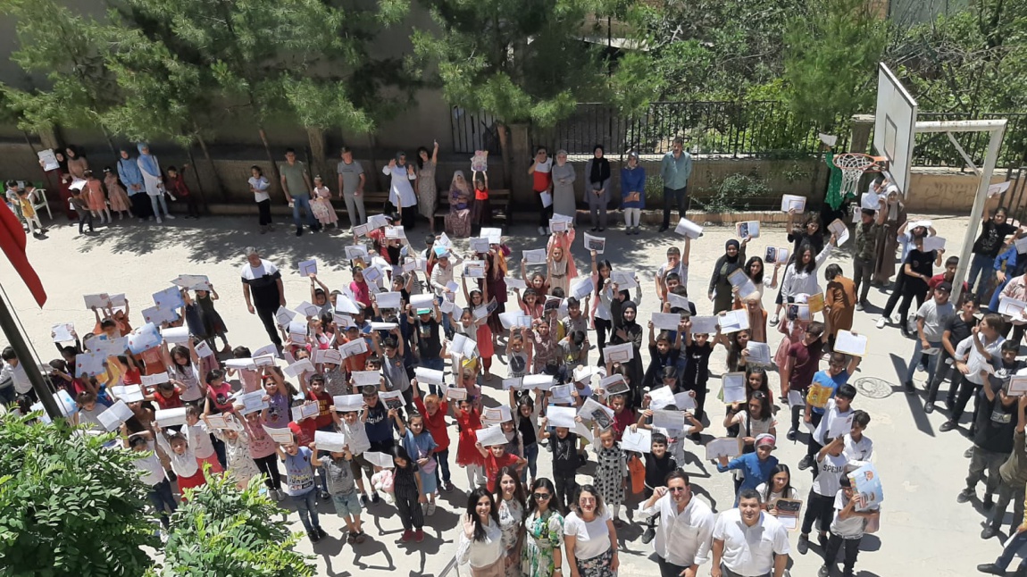 Şirinevler İlkokulu MARDİN YEŞİLLİ