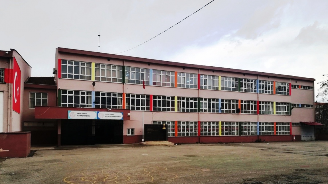 Tekkeköy İlkokulu SAMSUN TEKKEKÖY