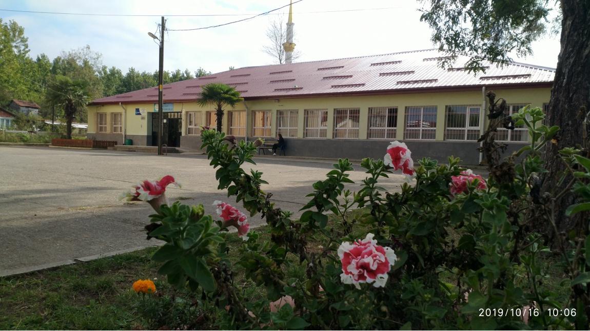 Gölyazı Köyü İlkokulu SAMSUN TERME