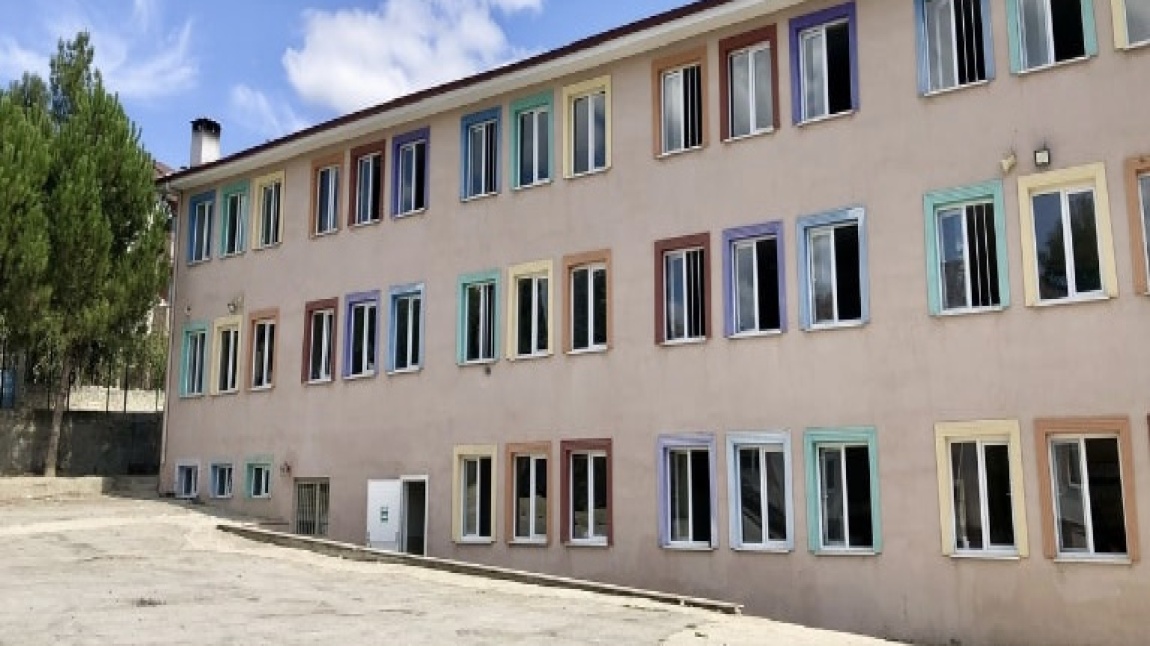 Habibfakı Ortaokulu SAMSUN VEZİRKÖPRÜ