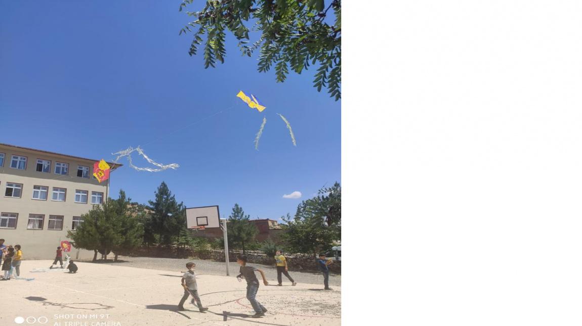 Aynalı Ortaokulu DİYARBAKIR ÇERMİK