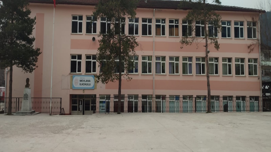 Mevlana İlkokulu DÜZCE YIĞILCA