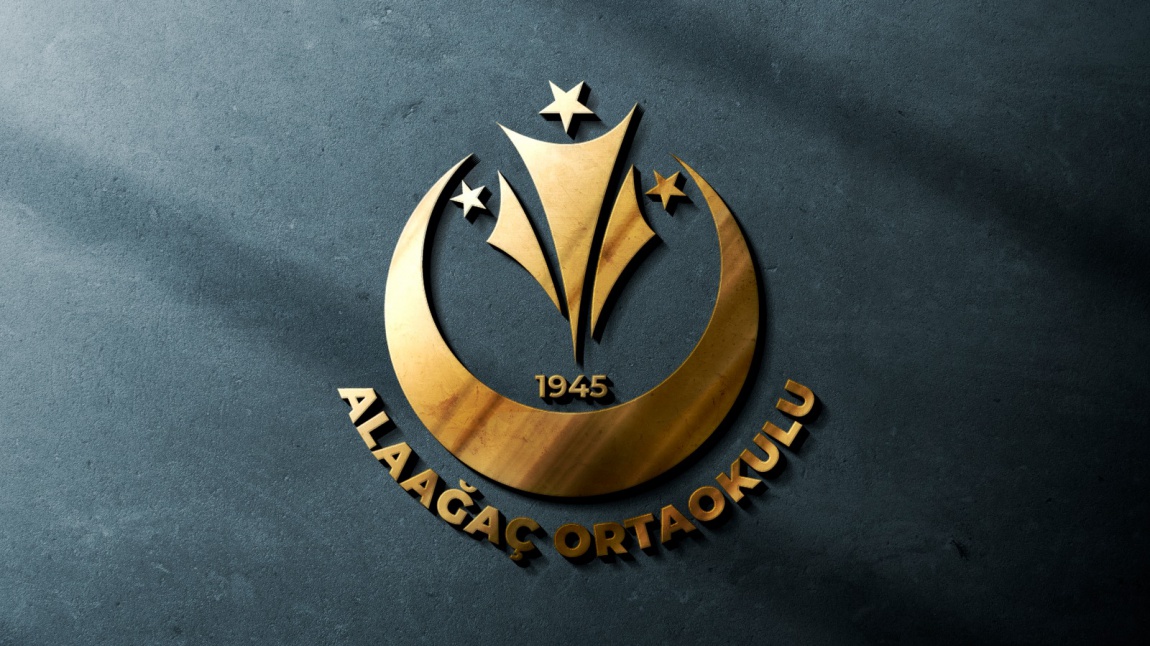 Alaağaç Ortaokulu SAKARYA AKYAZI