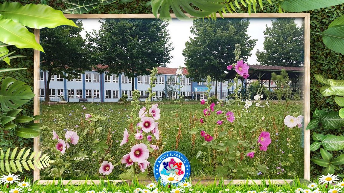 Neviye İlkokulu SAKARYA ARİFİYE